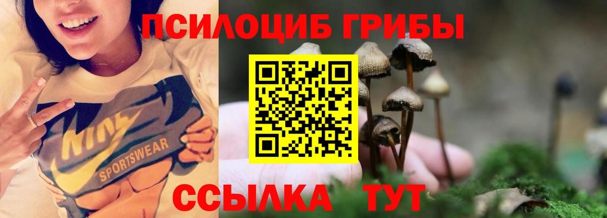 Балашиха  цена наркотик  Вход с VPN  Галлюциногенные грибы ЛСД 